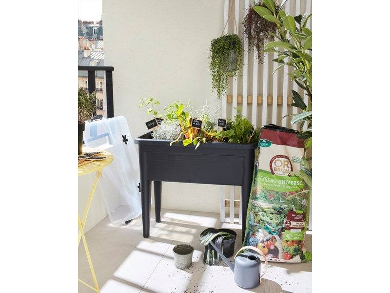 Elho - Table De Culture Green Basics Xxl Living Noir, L.36.5 X L.75.5 X H.65.1 Cm ELHO - Imagen 2