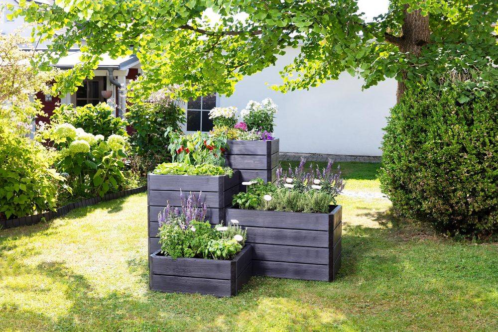 Graf - Carré potager Ergo Quadro L imitation bois 25 x 80 x 80 cm Graf - Imagen 3