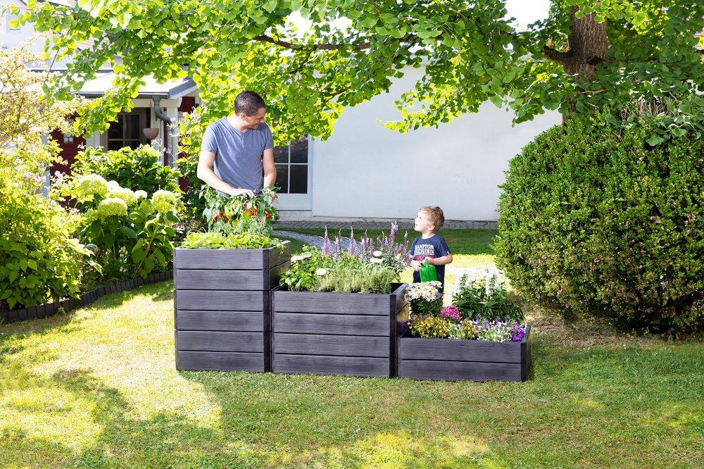 Graf - Carré potager Ergo Quadro L imitation bois 25 x 80 x 80 cm Graf - Imagen 2