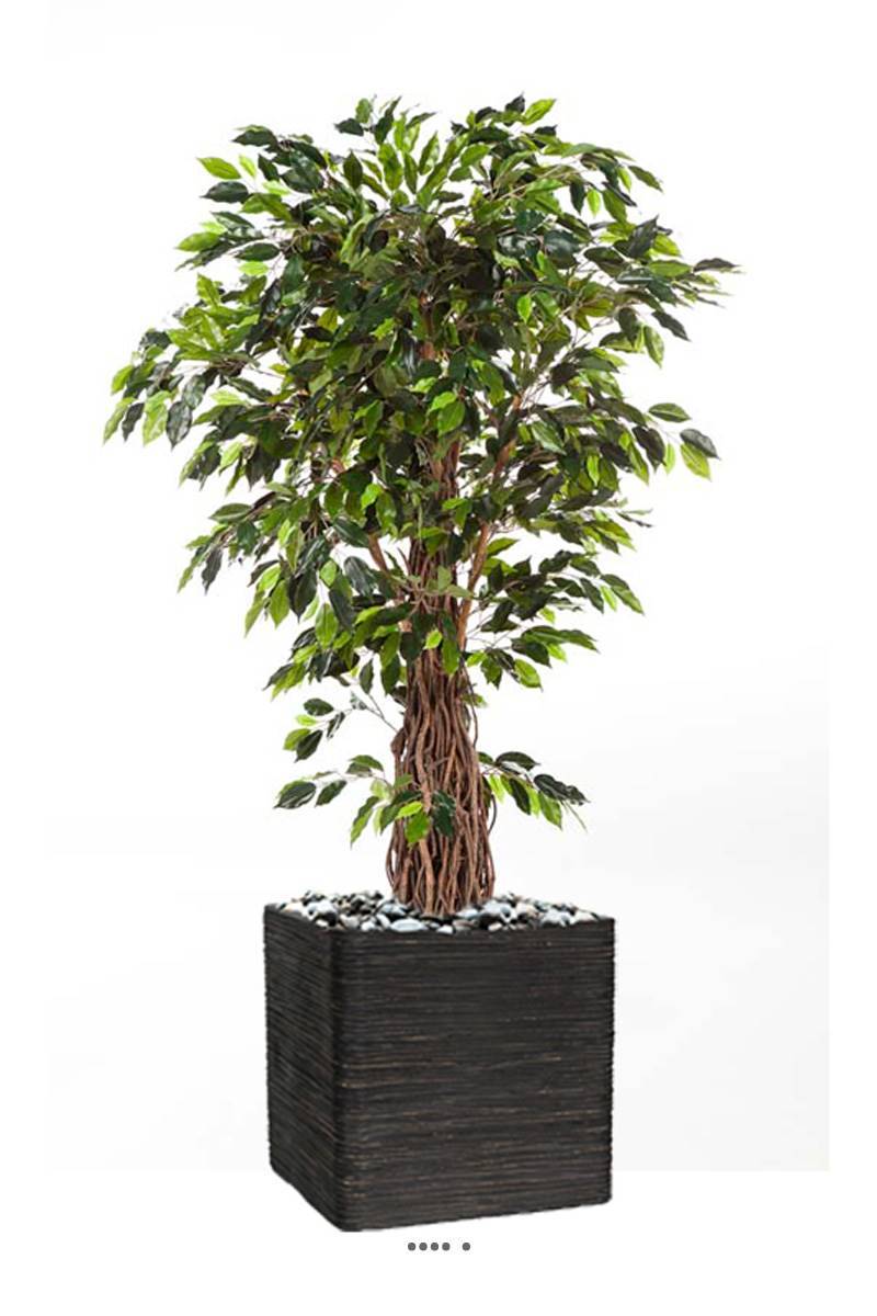 Artificielles - Ficus lianes artificiel luxe H 180 cm 1600 feuilles gros tronc en pot - dimhaut: H 180 cm - couleur: Vert - Imagen 3