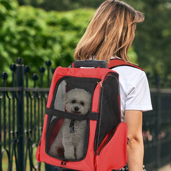 Sac à dos de transport trolley pour chien chat en métal Oxford aéré rouge 55cm - ComfortXL Outdoor Living - Image 4