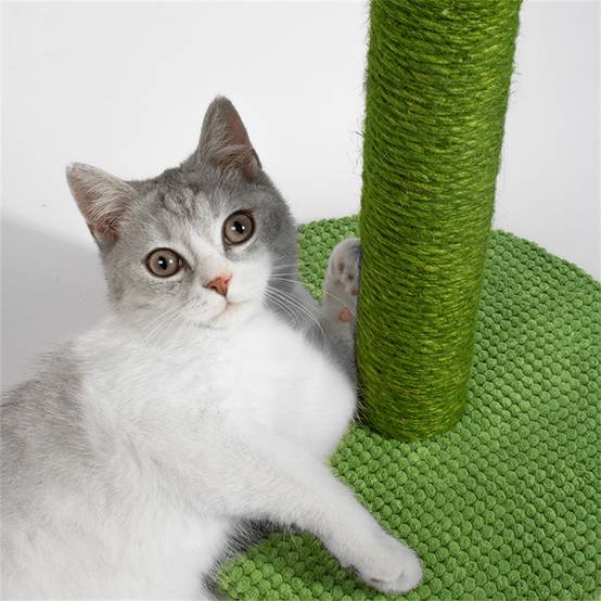 Griffoir en forme de cactus en jute pour chat, hauteur 60 cm, couleur verte, facile à installer Lytech - Image 4