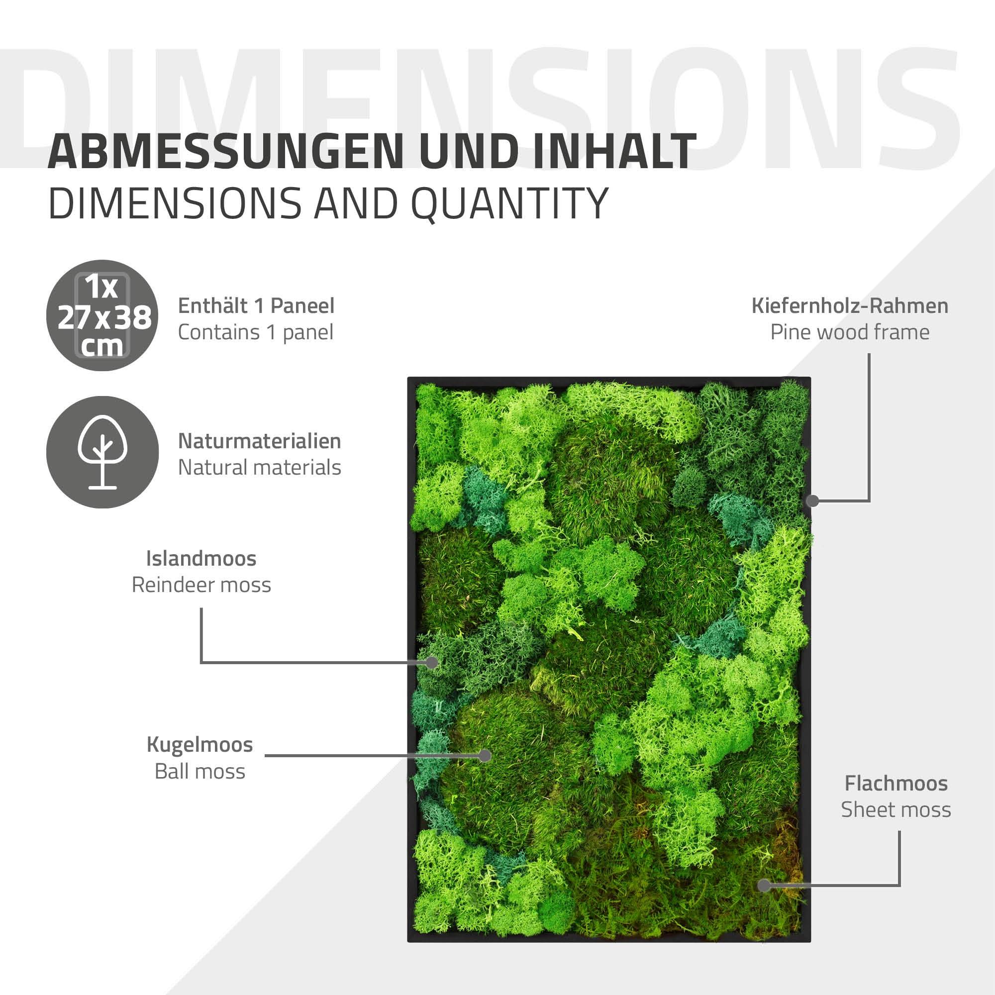 Ecd-Germany - Tableau végétal mural, mélange de mousses stabilisées, rectangulaire, 38 x 27 cm, vert, décoration d'intérieur effet 3D, sans entretien, pièce unique - Image 7