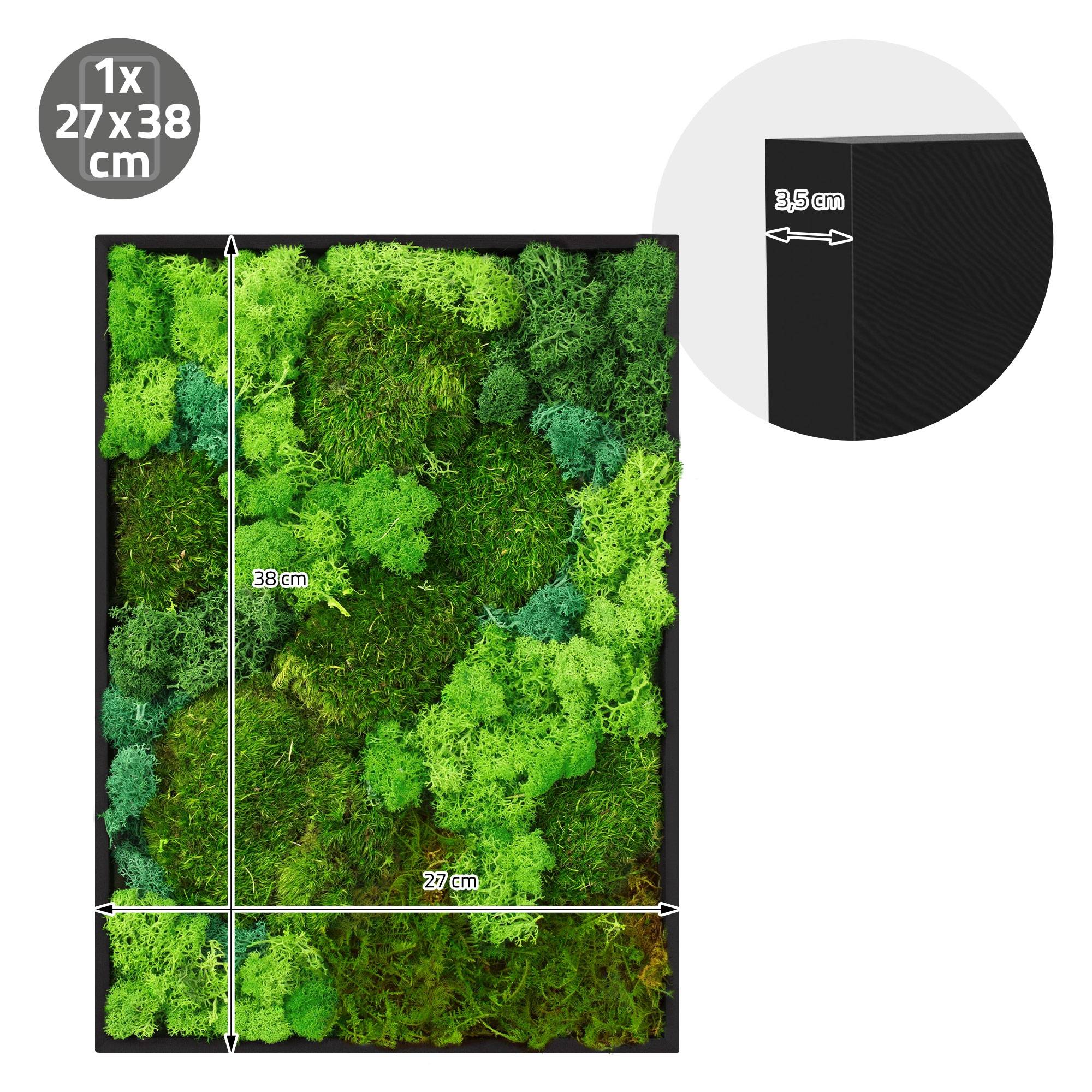 Ecd-Germany - Tableau végétal mural, mélange de mousses stabilisées, rectangulaire, 38 x 27 cm, vert, décoration d'intérieur effet 3D, sans entretien, pièce unique - Image 8