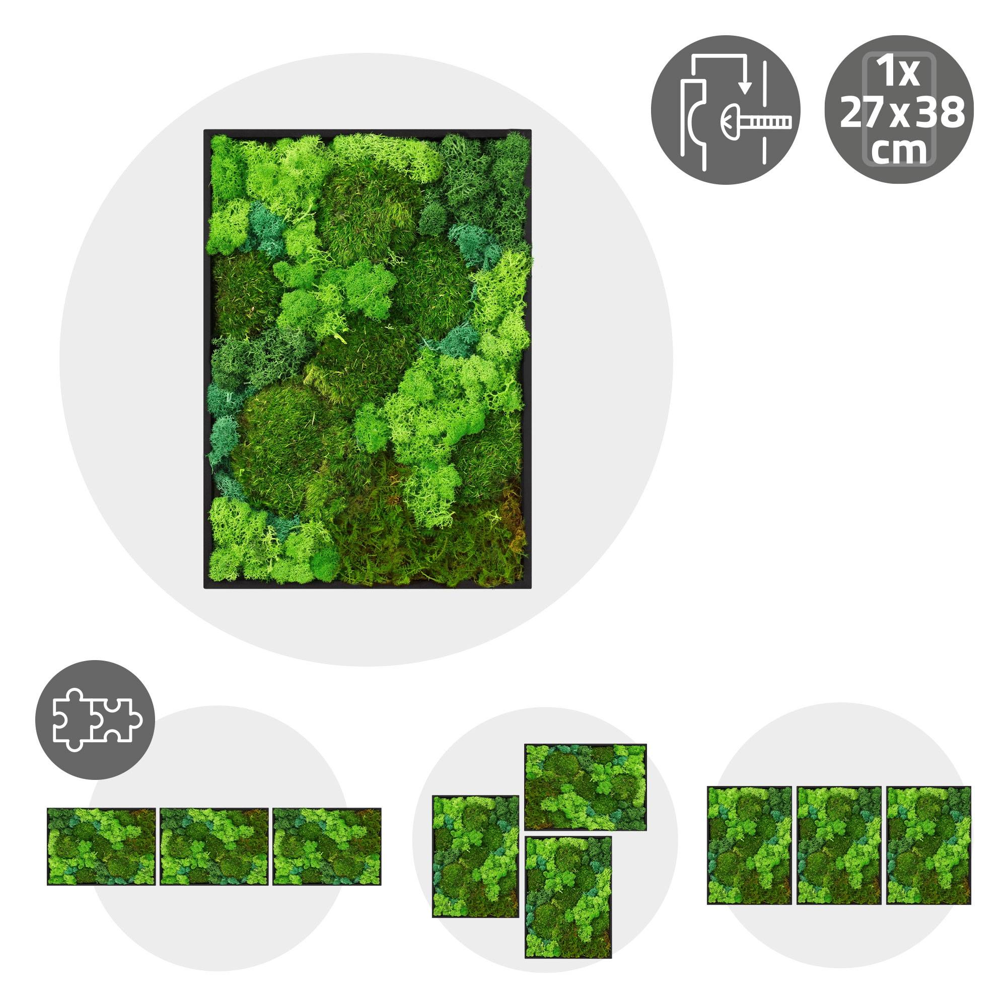 Ecd-Germany - Tableau végétal mural, mélange de mousses stabilisées, rectangulaire, 38 x 27 cm, vert, décoration d'intérieur effet 3D, sans entretien, pièce unique - Image 10