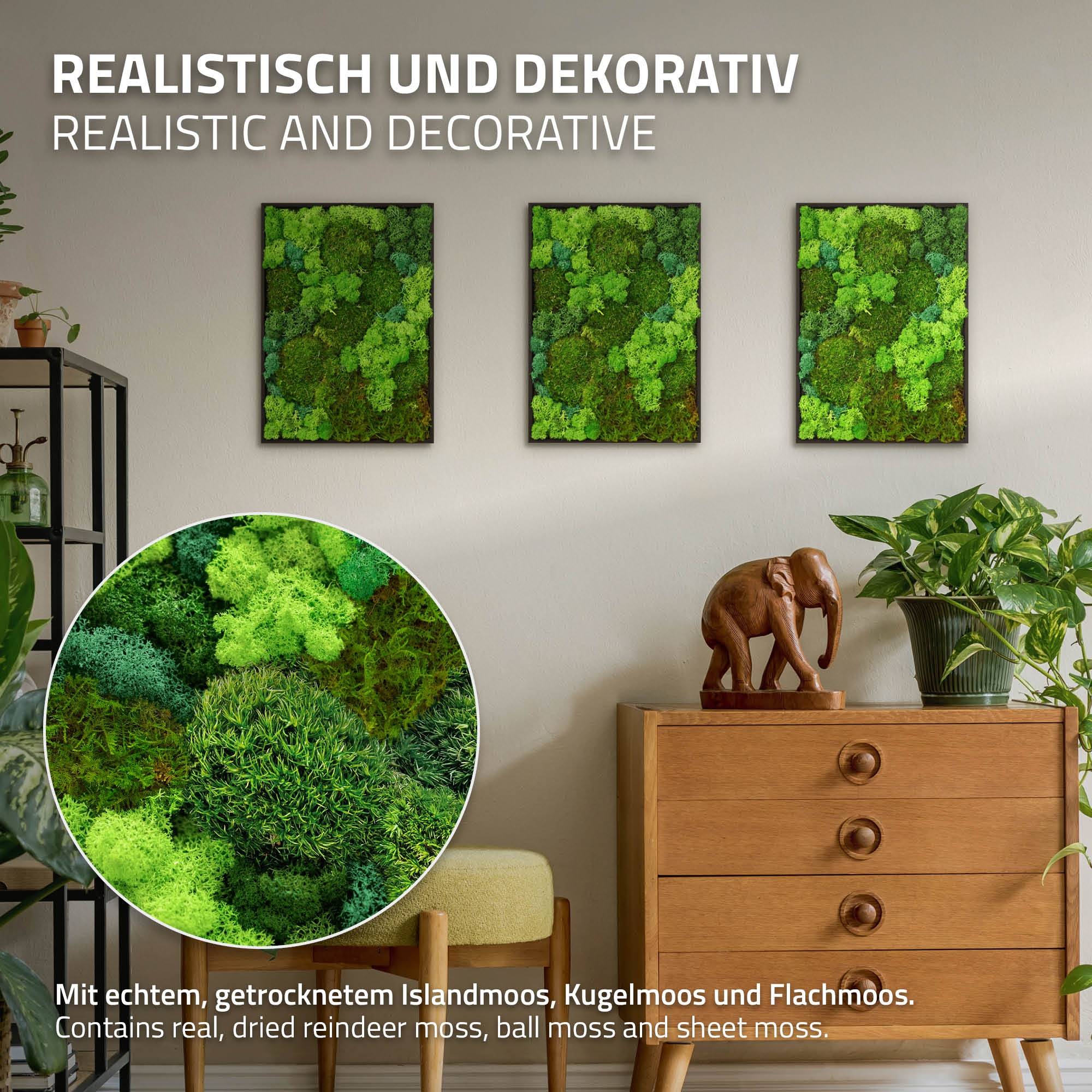 Ecd-Germany - Tableau végétal mural, mélange de mousses stabilisées, rectangulaire, 38 x 27 cm, vert, décoration d'intérieur effet 3D, sans entretien, pièce unique - Image 3