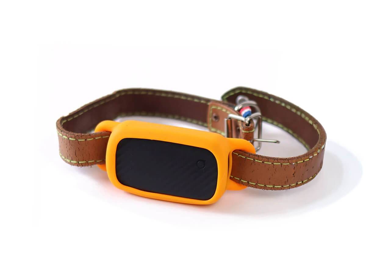 Collier GPS pour chien sans abonnement - Noir / Fauve / Sans Smartdock - Image 1