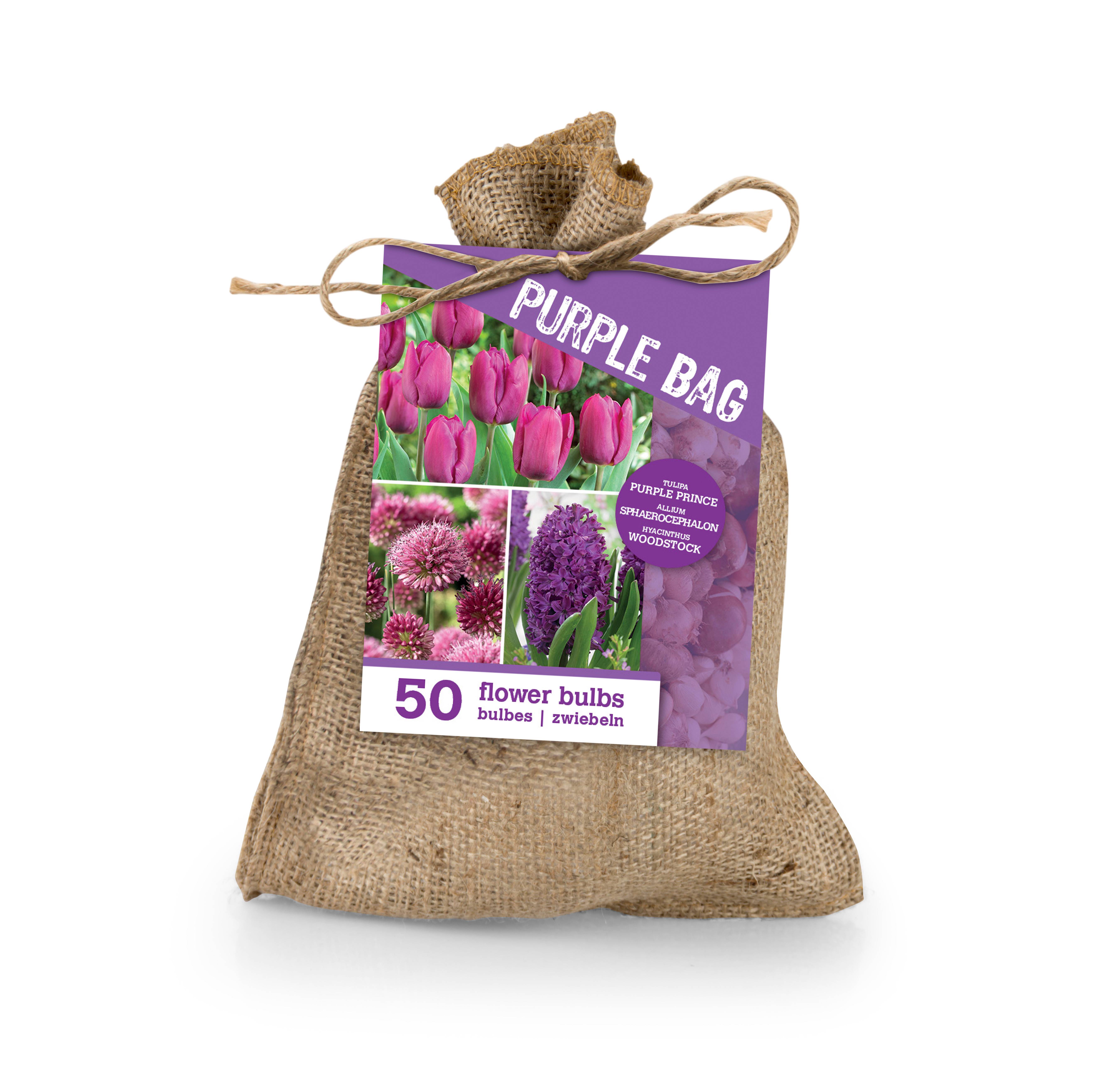 Mix de 50 - Le Sac Violet - Mix Violet - Tulipes, Jacinthes, Allium - Bulbes à fleurs - Image 1