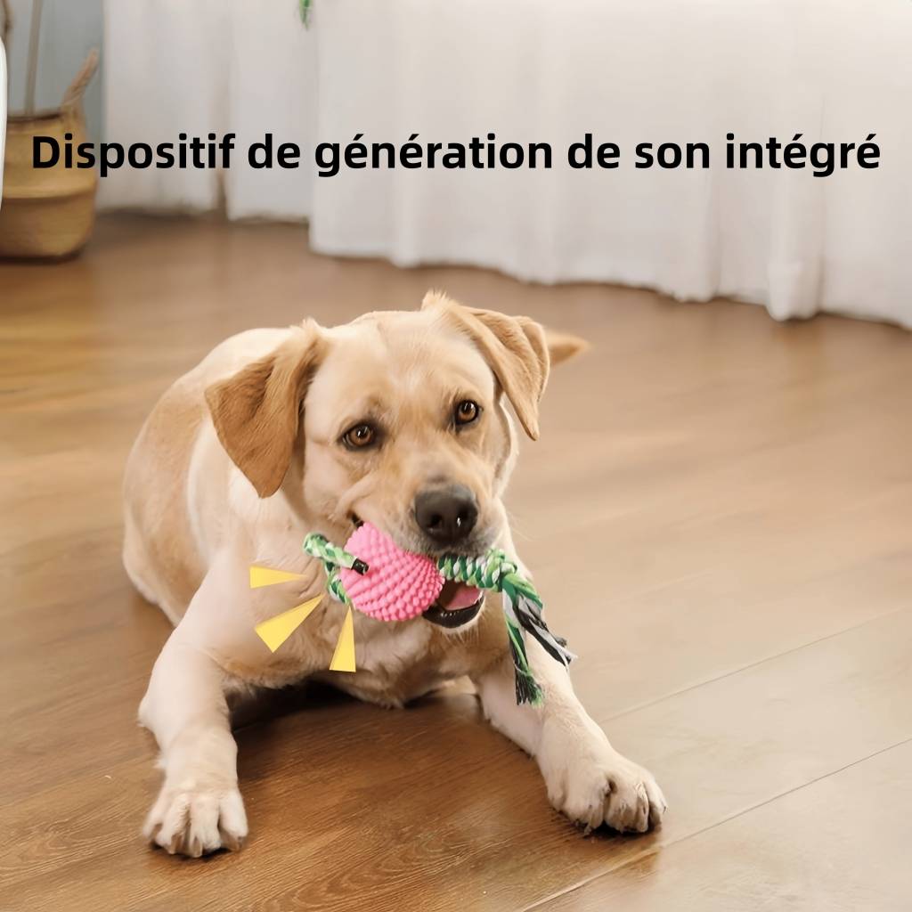 DtopbuyAge - Jouet pour Chien À Mâcher Corde Tressée et Balle Idéal pour Training Exercise Agilité et Jeu de Récupération DtopbuyAge - Image 2