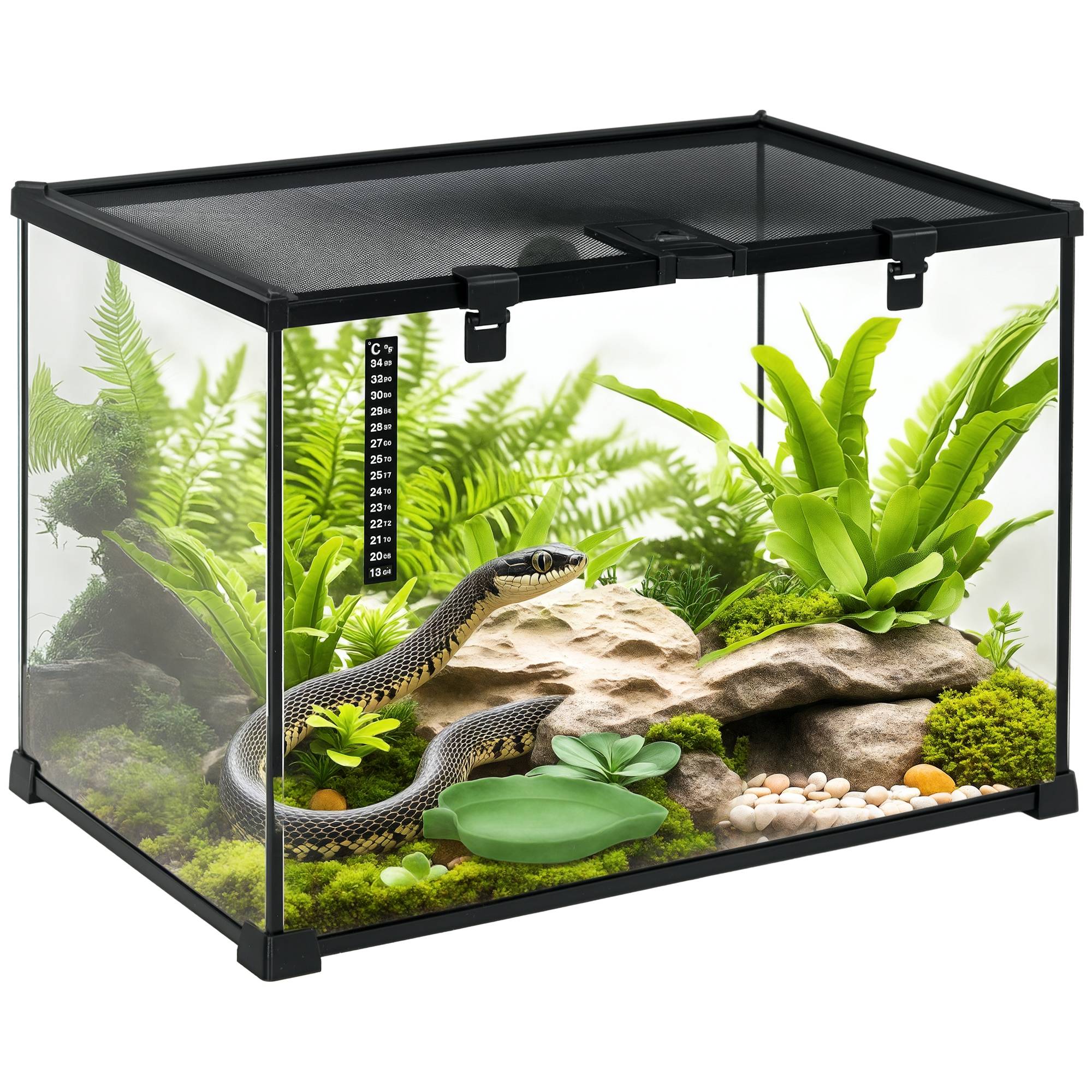 Terrarium verre transparent 50 x 30 x 35 cm - PANGIVO - Image 1