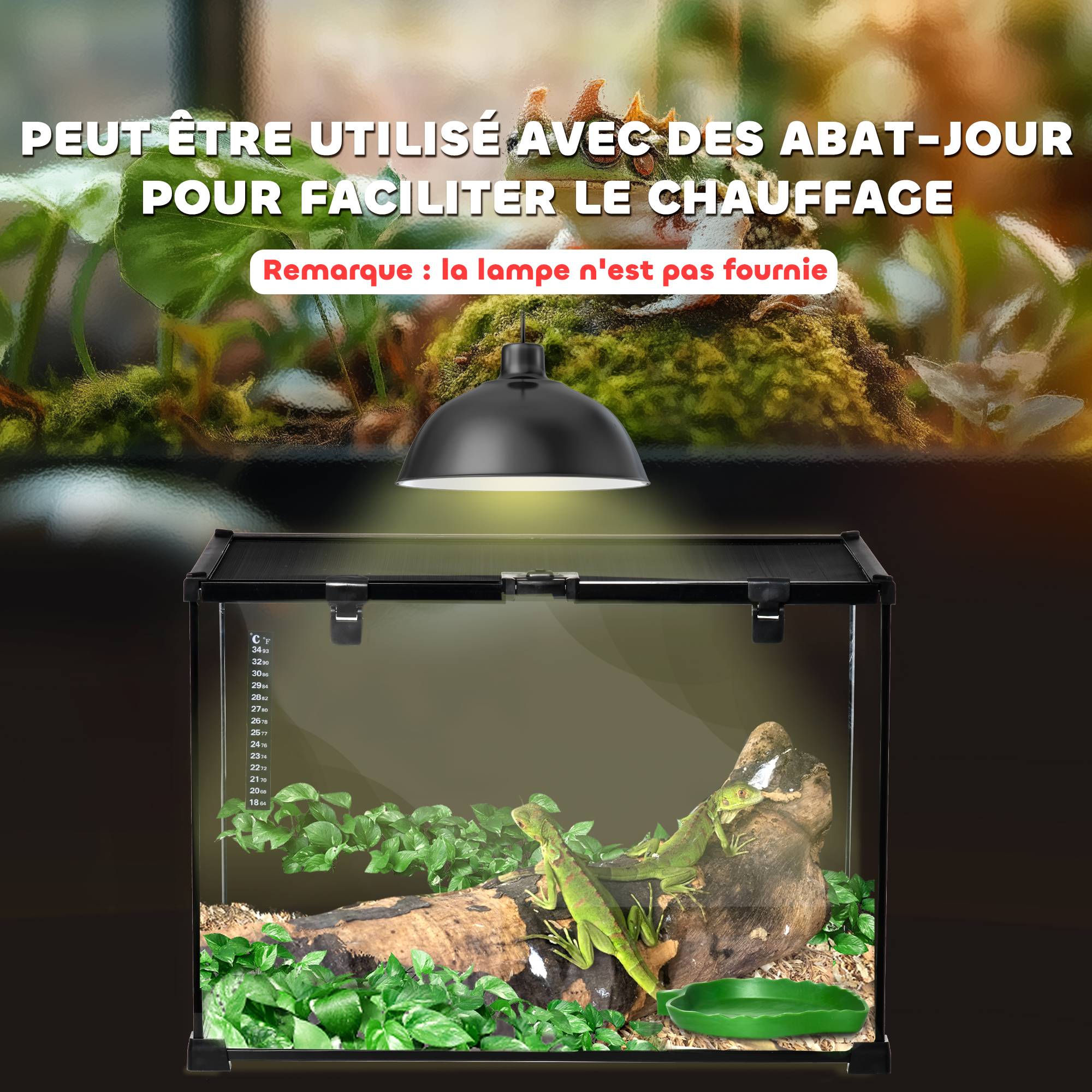 Terrarium verre transparent 50 x 30 x 35 cm - PANGIVO - Image 10