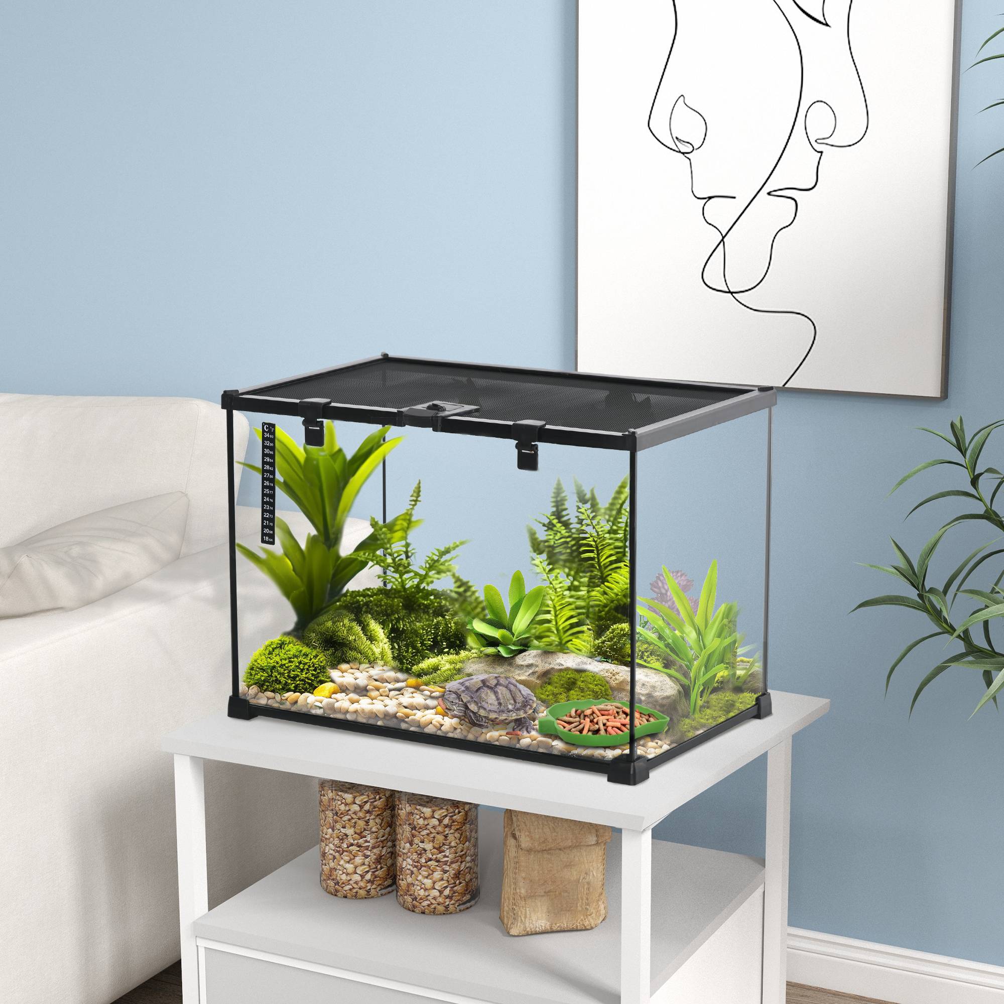 Terrarium verre transparent 50 x 30 x 35 cm - PANGIVO - Image 3