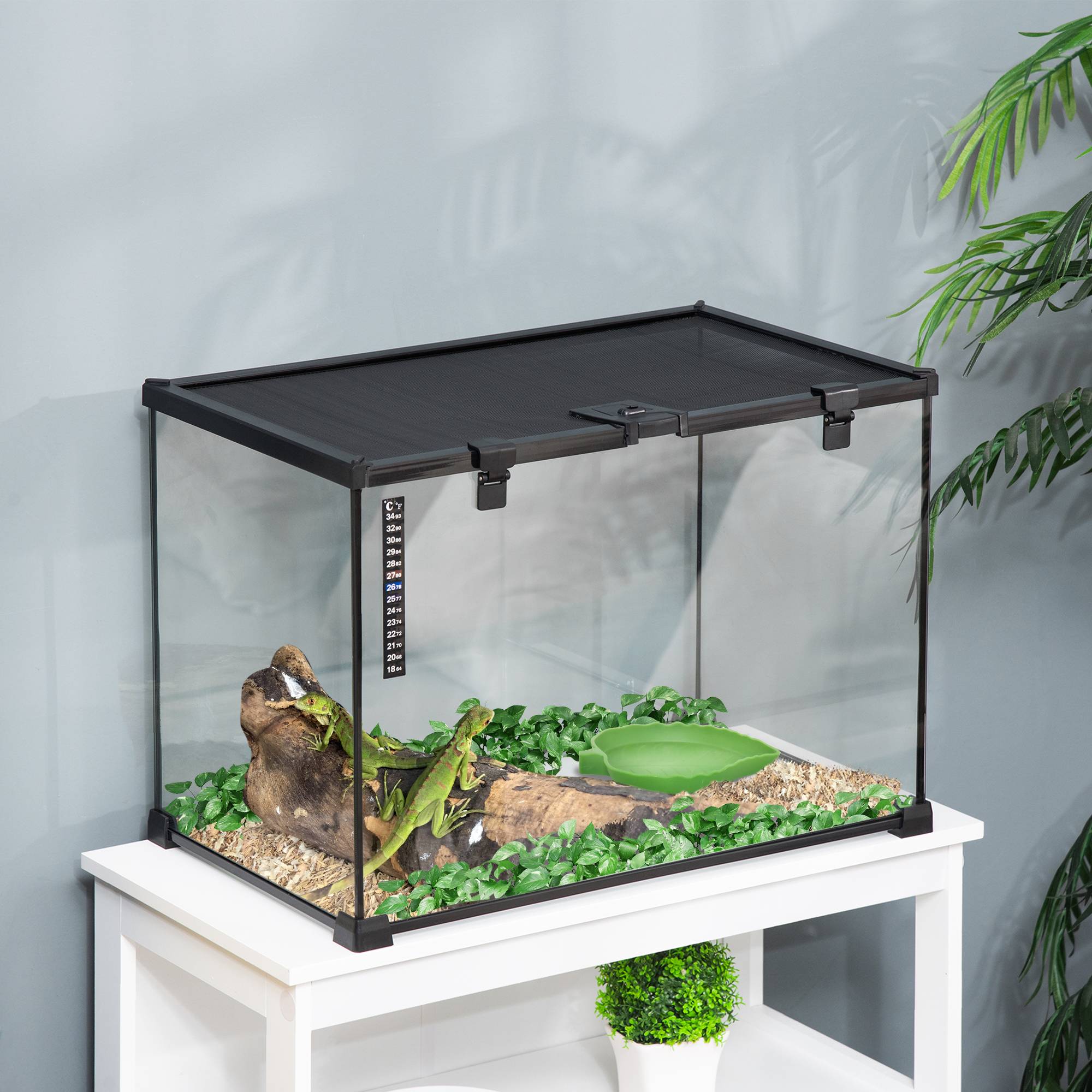Terrarium verre transparent 50 x 30 x 35 cm - PANGIVO - Image 4