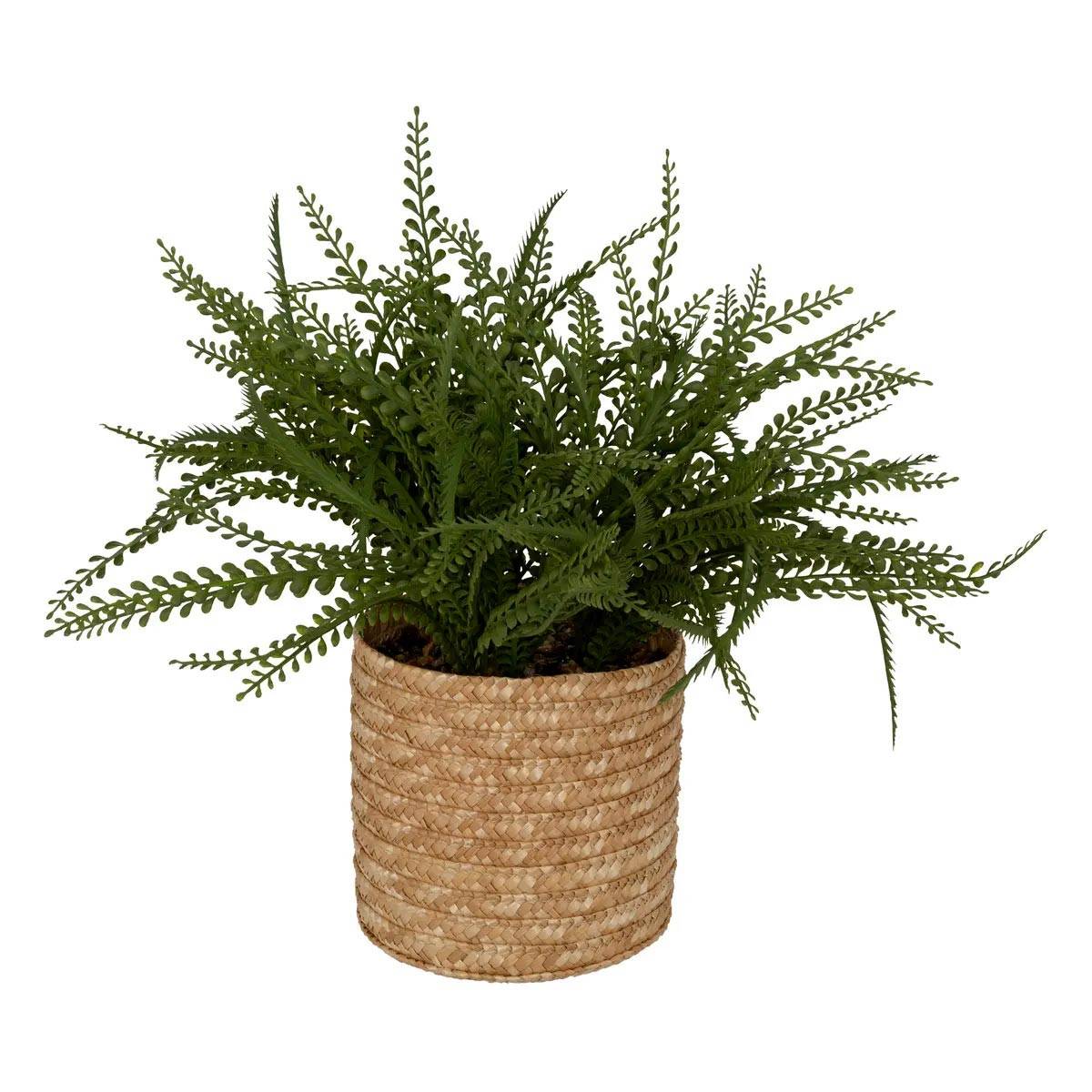 Fougère Artificielle en Pot "Clemy" 30cm Vert - Image 1