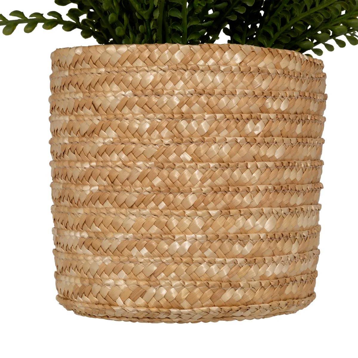 Fougère Artificielle en Pot "Clemy" 30cm Vert - Image 3
