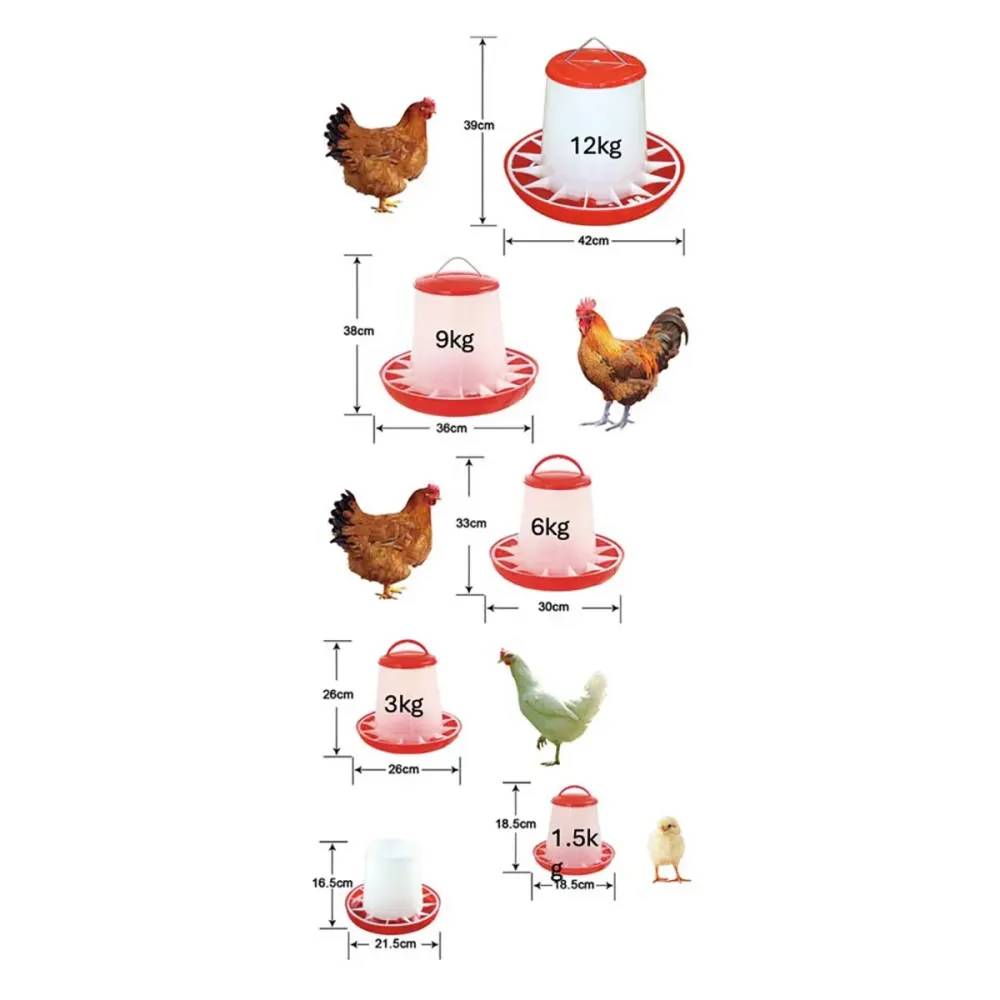 Mangeoire plastique avec poignée 6 kg pour volailles - Rouge et blanc - Image 2