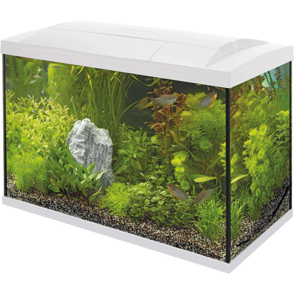 Superfish - Aquarium Tropical Kit Blanc 146L 79x40x55 cm - SUPERFISH