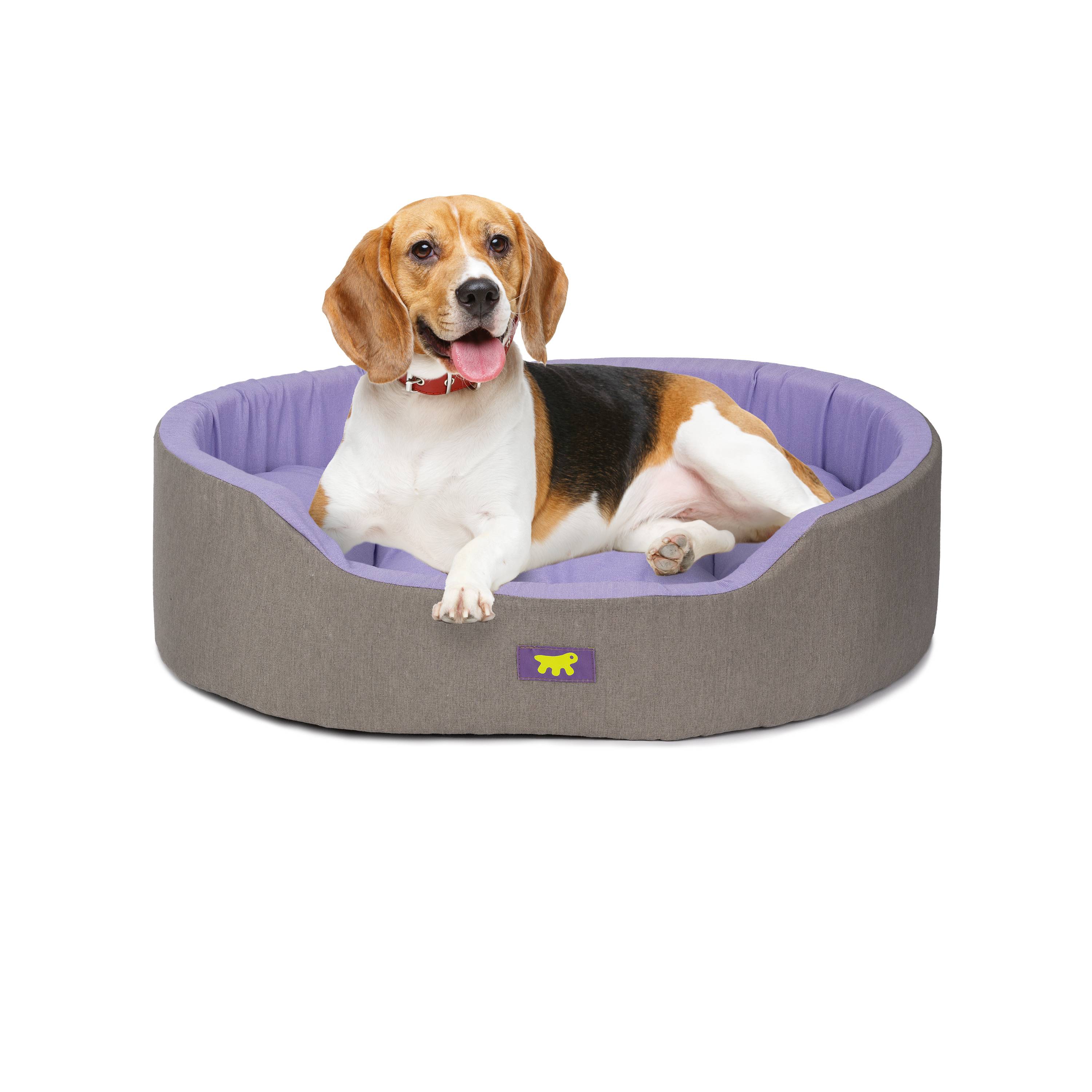 Ferplast - Ferplast Panier Chien Dandy, Coussin Amovible et Lavable, Housse en Coton avec Rembourrage Doux, Idéale également comme Niche pour Chat, 65 x 46 x H - Imagen 4