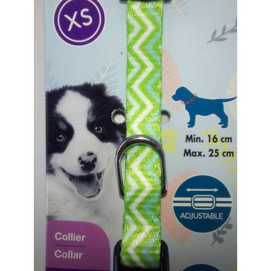 Zolux - Collier PUPPY PIXIE 8 mm 16 à 25 cm couleur vert pour chiots - Imagen 4