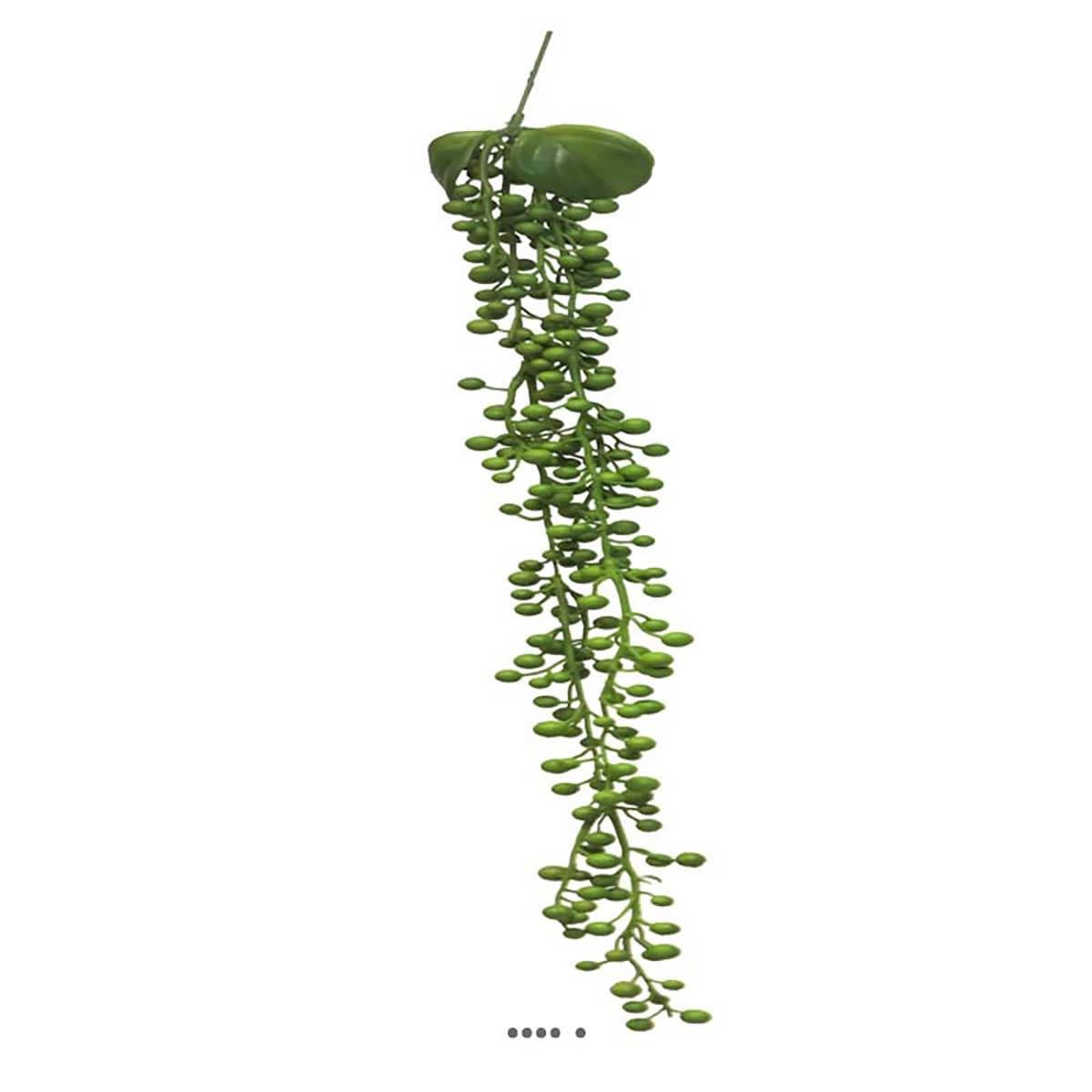Artificielles - Chute de Senecio artificiel Longueur 60 cm largeur 6 cm - Imagen 1