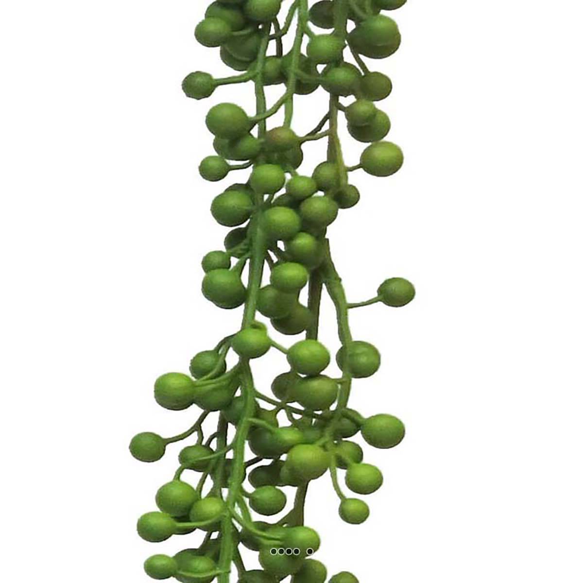 Artificielles - Chute de Senecio artificiel Longueur 60 cm largeur 6 cm - Imagen 2