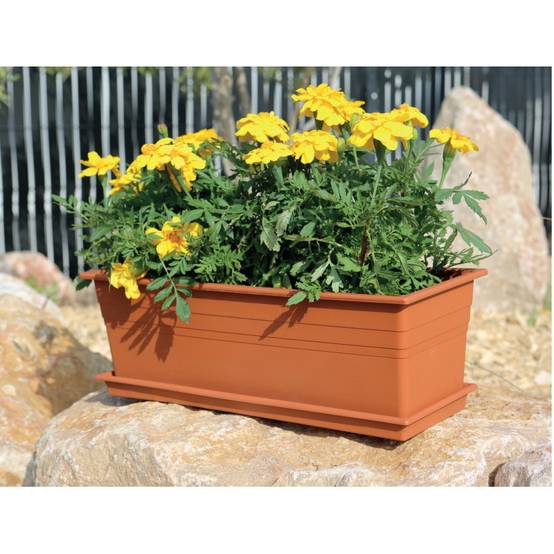 Riviera - Plateau pour jardinière 40 cm - 36 x 16 x 3,1 cm - Terre cuite - Fabrication Française - Image 3