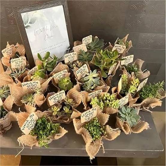 COYUN 30 Étiquettes Jardin Ardoise Bois – Imperméables, Pour Plantes, Graines, Herbes & Fleurs
