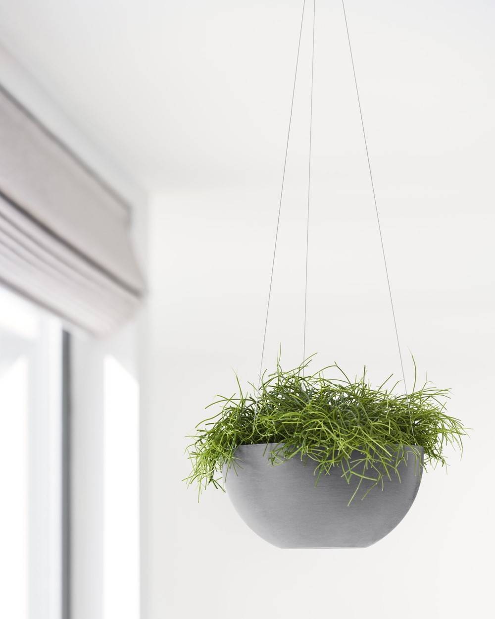 Ecopots - Pot supsendu Brussels 27 Gris - Ø 26,5 x H. 13 cm - 4,2 L ECOPOTS - Imagen 5