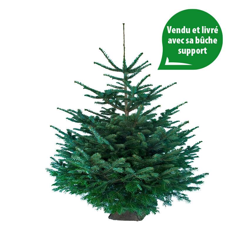 rapidsapin - Sapin de Noël Nordmann naturel 160-180 cm avec support bûche - Image 3