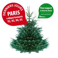 rapidsapin - Sapin de Noël Nordmann naturel 160-180 cm avec support bûche - Image 1