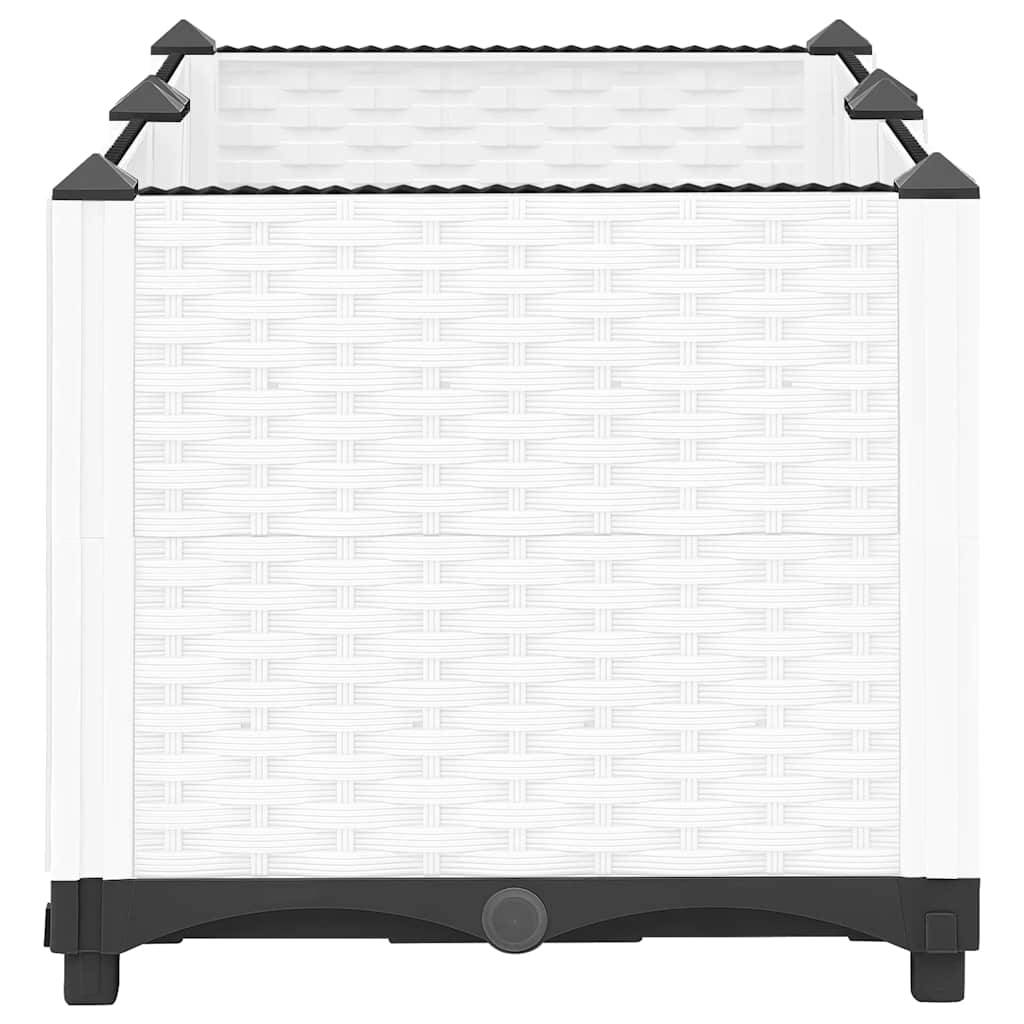 Prolenta Premium - Jardinière polypropylène blanc  80 x 40 x 38 cm  - Prolenta premium p332.5 - Image 5