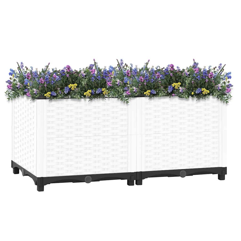 Prolenta Premium - Jardinière polypropylène blanc 80 x 40 x 38 cm - Prolenta premium p332.5 - Image 1