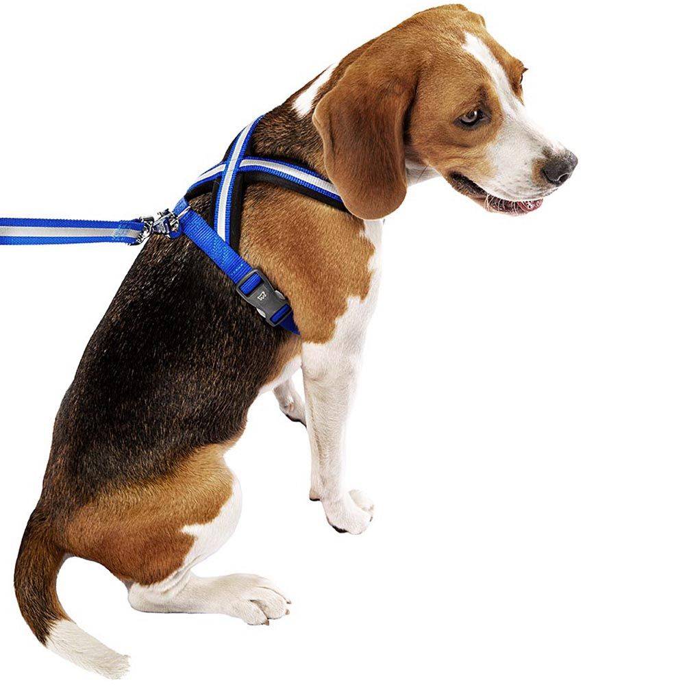 Ferplast - Harnais pour Chiens Taille Moyenne DAYTONA CROSS M, Réfléchissant, Rembourrée, avec Boucle Magnétique - Imagen 4
