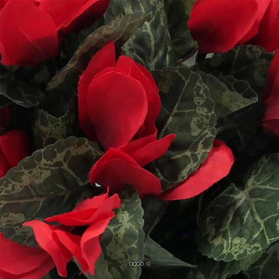 Cyclamen Artificiel Rouge 25cm Avec 12 Fleurs - Plante Artificielle En Pot Pour Décoration Intérieur