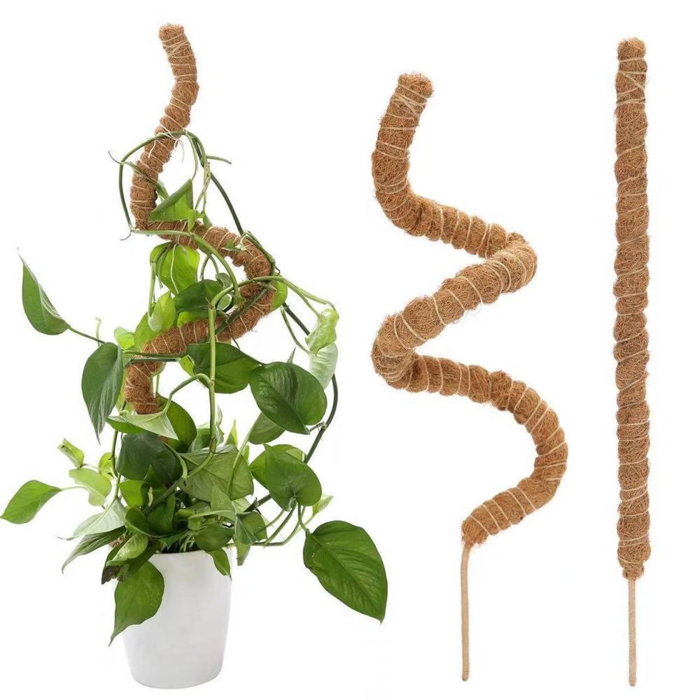 Tuteur en fibre de coco 160cm - Pliable pour Monstera/Pothos - Support  naturel plantes grimpantes - DtopbuyAge - Jardiland