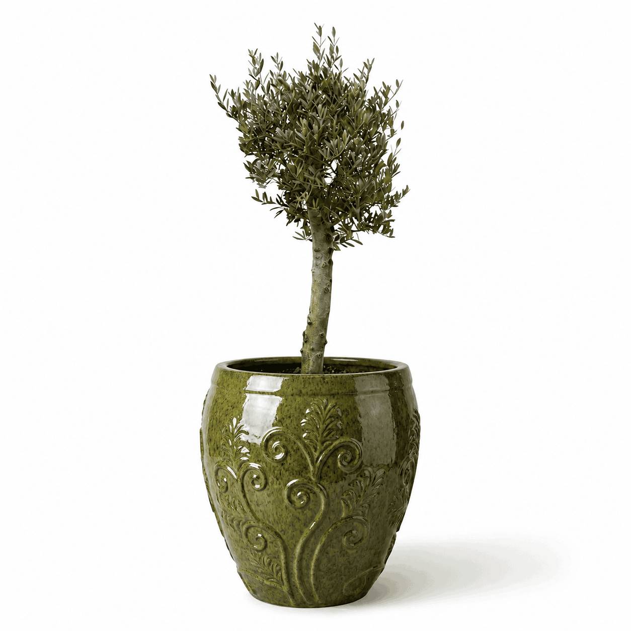 Lot olivier + pot GAIA 75x78cm vert tropical, fait main en terre cuite émaillée