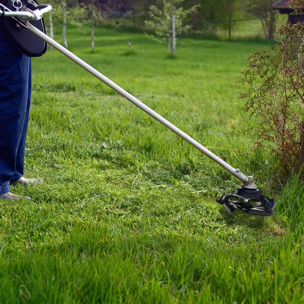 Terre Jardin - Disque de débroussailleuse lame 6 dents alésage 25,4 cm - TERRE JARDIN - Image 6