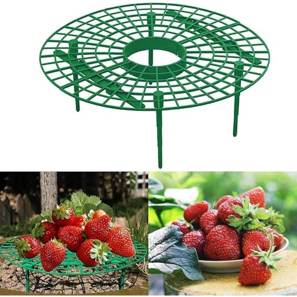 DtopbuyAge - Lot de 10 Supports de Fraisier en Plastique - Image 2