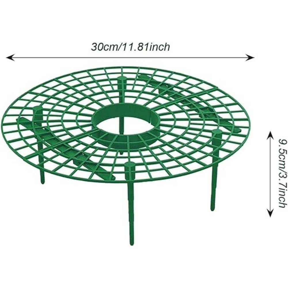 DtopbuyAge - Lot de 10 Supports de Fraisier en Plastique - Image 5