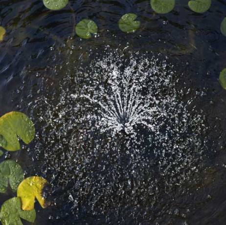 Ubbink - Pompe fontaine de bassin Elimax, Vol. 700 L - Imagen 3
