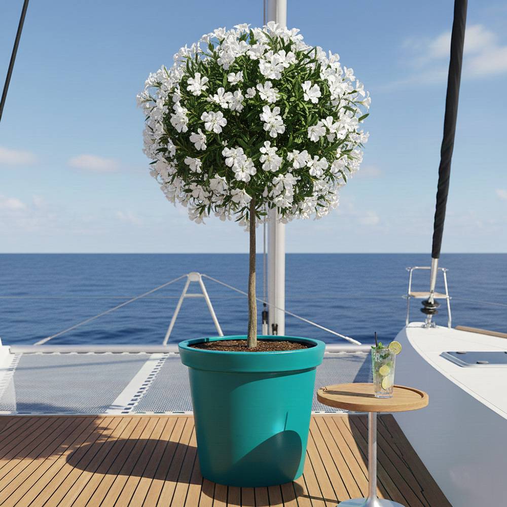 Pot de fleurs 200l delight - plast'up rotomoulage - Image 3