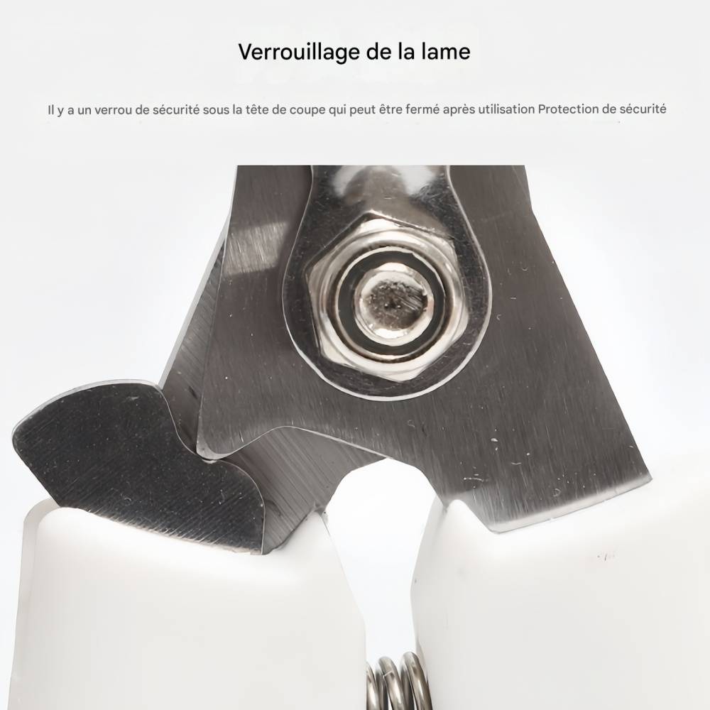 IntiMeg - Coupe-griffes pour animaux de compagnie IntiMeg - Image 6