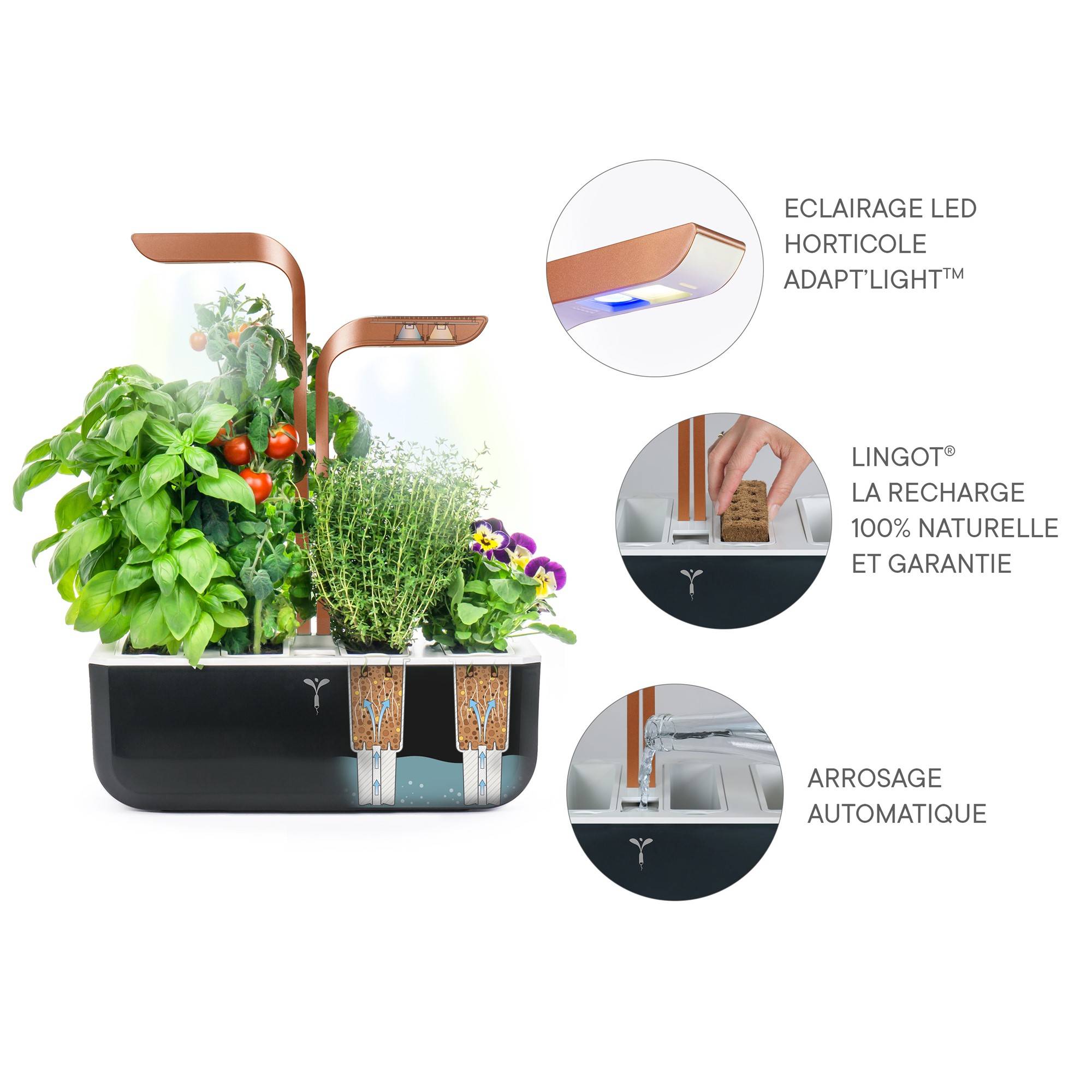 Veritable - Potager d'intérieur Autonome Véritable SMART Copper - Livré avec 4 Lingots - Véritable - Imagen 5