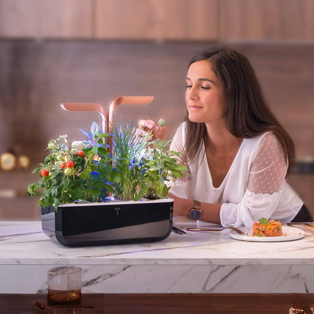 Veritable - Potager d'intérieur Autonome Véritable SMART Copper - Livré avec 4 Lingots - Véritable - Imagen 4