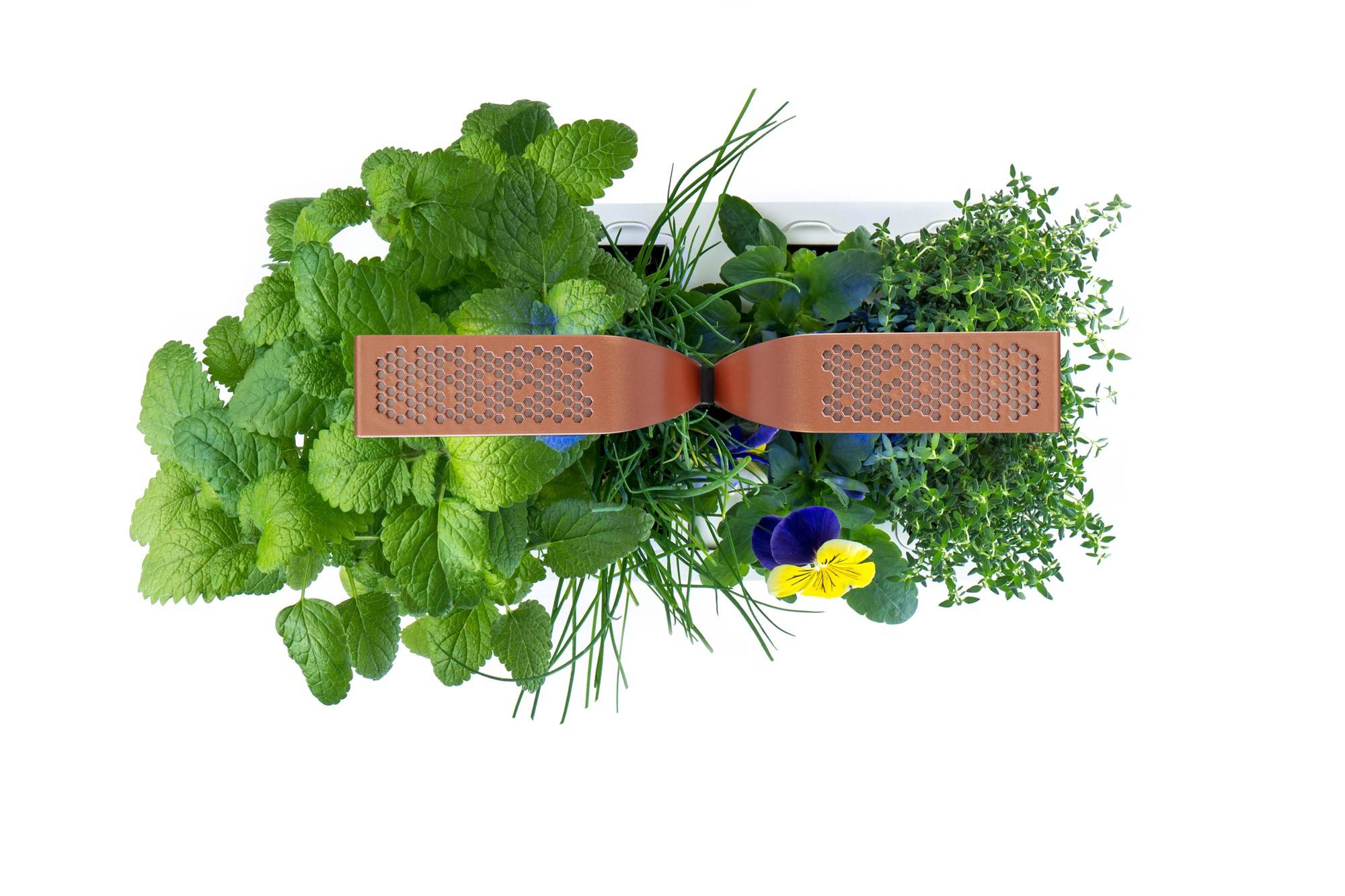 Veritable - Potager d'intérieur Autonome Véritable SMART Copper - Livré avec 4 Lingots - Véritable - Imagen 3