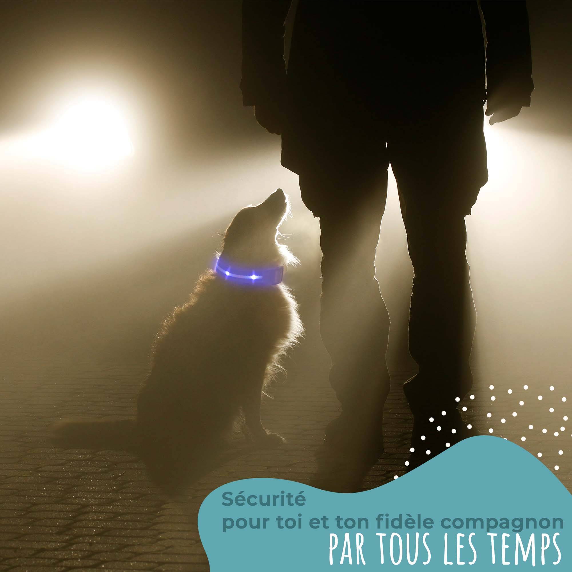 Bi International - Laisse pour chien [L'original] 1,2 m LED lumineux (Rouge) - BI International - Imagen 5