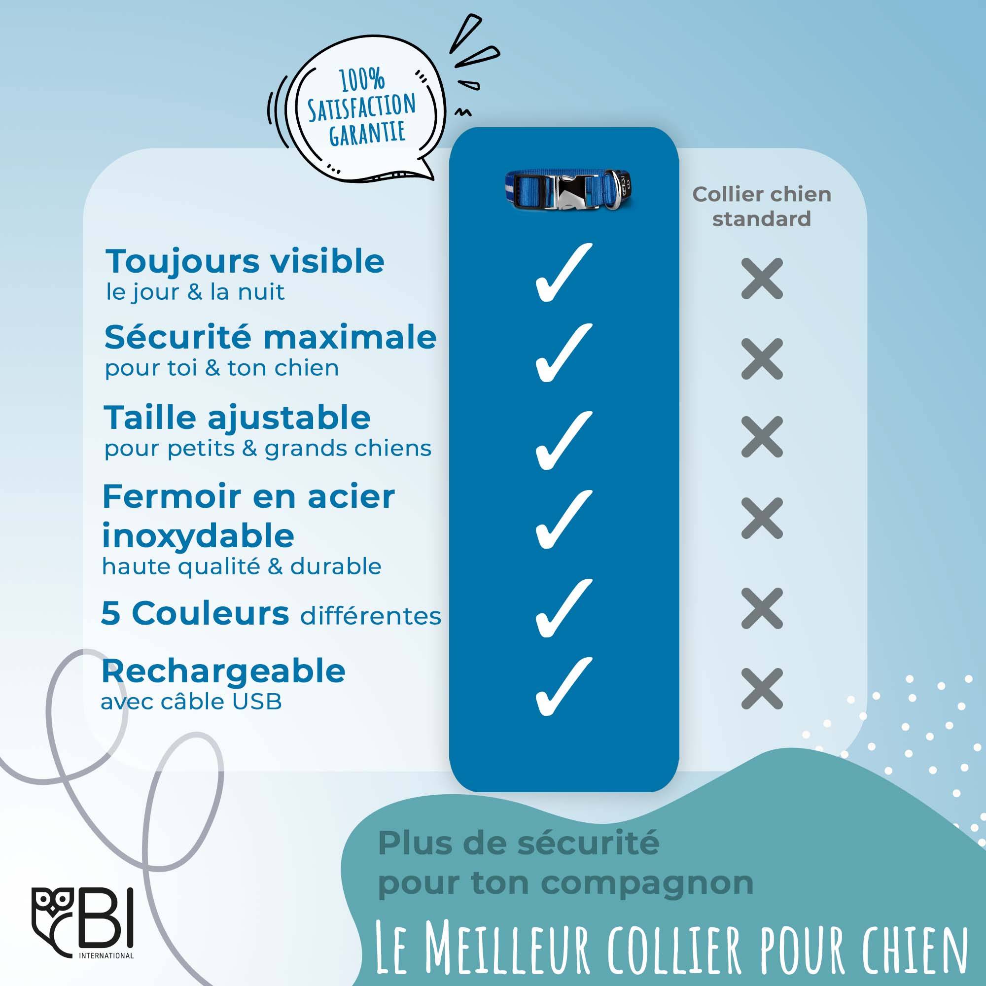 Bi International - Laisse pour chien [L'original] 1,2 m LED lumineux (Rouge) - BI International - Imagen 7