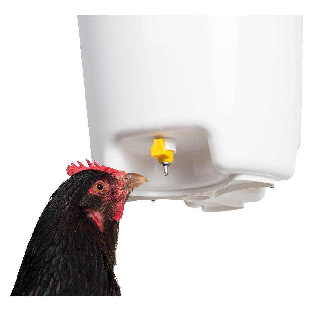 Chick'a - Bebedero suspendido con pipetas 12 L CHICK'A - Imagen 2