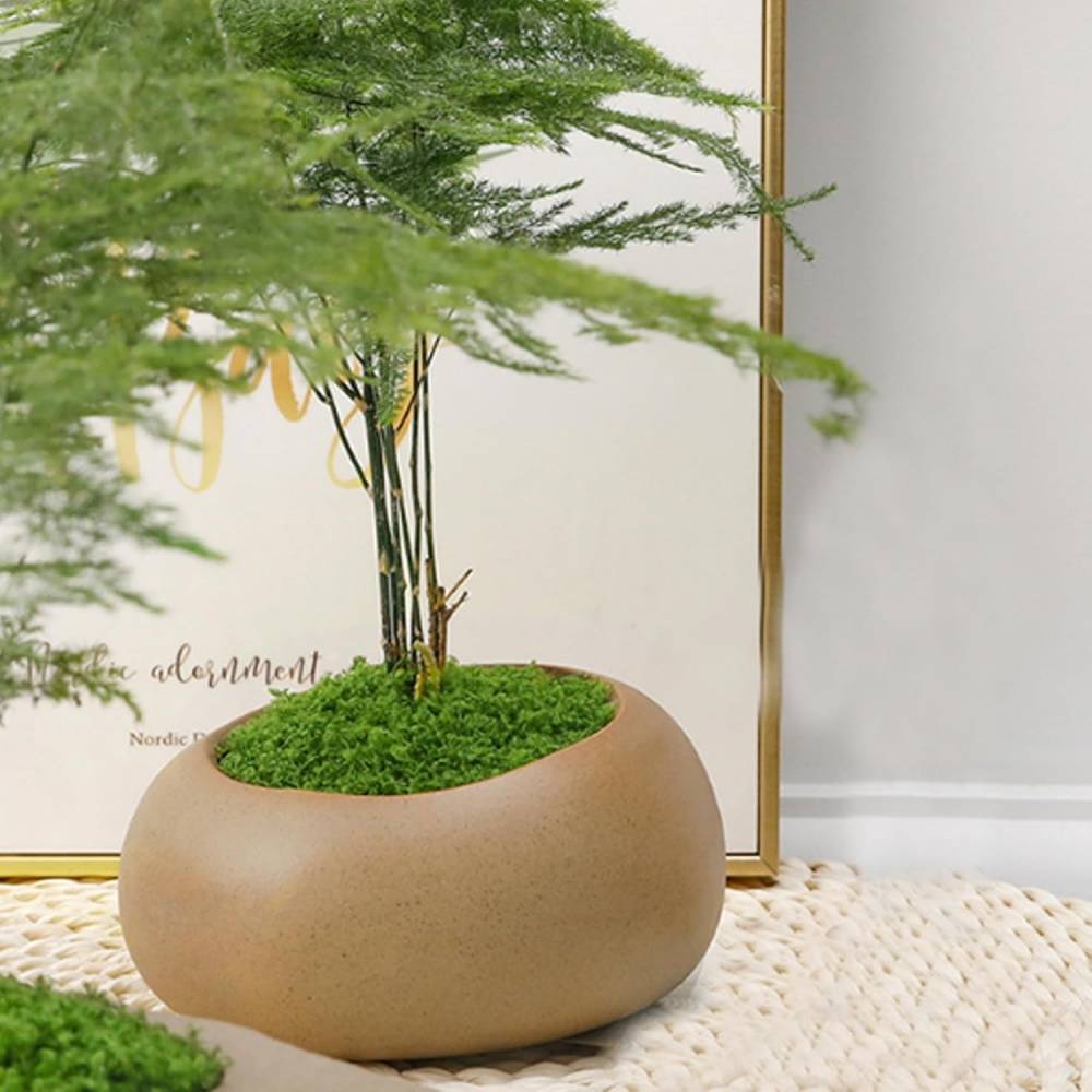 Lytech - Mousse Artificielle 50g x 2 pour Décoration Jardin - Aspect Naturel et Sans Entretien - Lytech