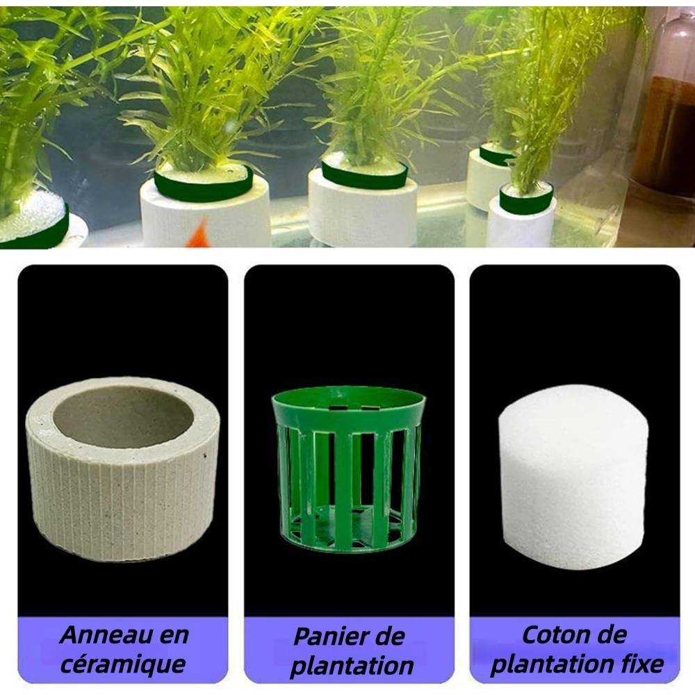 Anneau de Fixation pour Plantes Aquatiques DtopbuyAge - Image 2